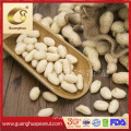 Factory Price Wholesale Blanched Peanut Kernels Long Shape